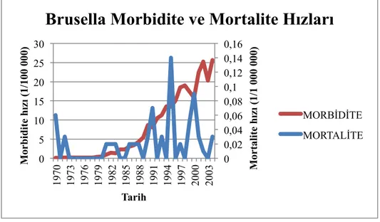 Tablo 2: Brusella vaka ve ölüm sayıları, morbidite ve mortalite hızları, Türkiye, 1970-2004 (40).