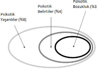 Şekil 1.4: Genel Toplumda Geniş Psikoz Fenotipi 