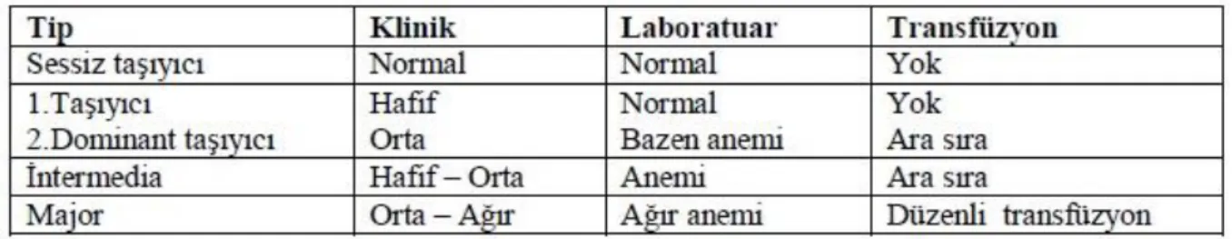 Tablo 1: Beta-Talasemide transfüzyon özeti 