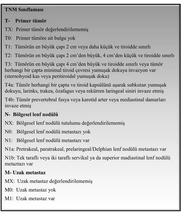 Tablo 2. Dünya Sağlık Örgütü (DSÖ) 2004’e göre TNM sınıflaması (1)  