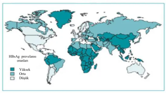 Şekil 5. Kronik HBV enfeksiyonunun dünyadaki dağılımı 