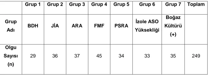 Tablo 21:  Olgu gruplarının dağılımı 
