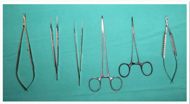 Şekil 11: Deneyde Kullanılan Cerrahi Aletler; soldan sağa üst sıra: 1-düz klemp, 2- portegü, 3- Adson 