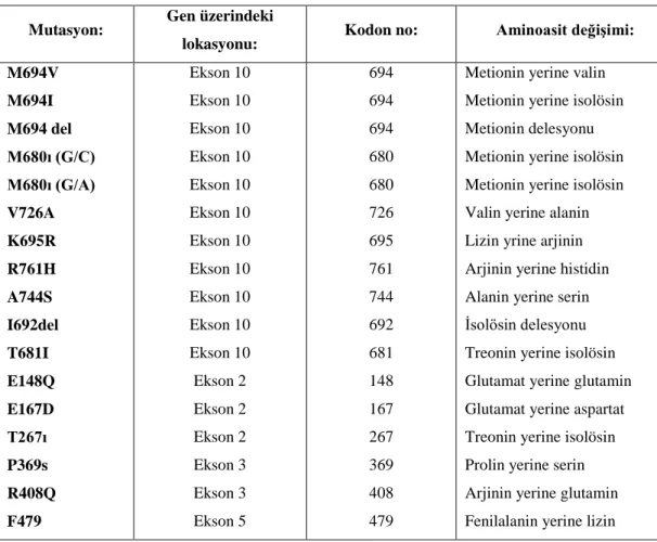 Tablo 3.2.  16  kromozom  üzerinde  bulunan  MEFV  geninde  saptanmış  bazı  mutasyonlar  (Dilşen 