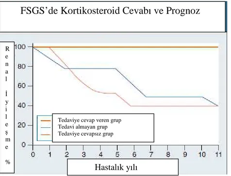 Grafik 2- Fokal segmental glomeruloskleroz da glukokortikoid cevabı ve Prognoz (7) 