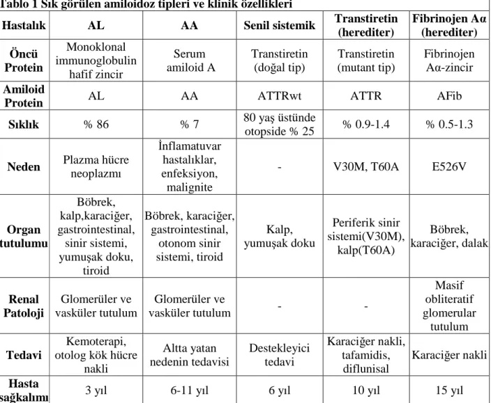 Tablo 1 Sık görülen amiloidoz tipleri ve klinik özellikleri  
