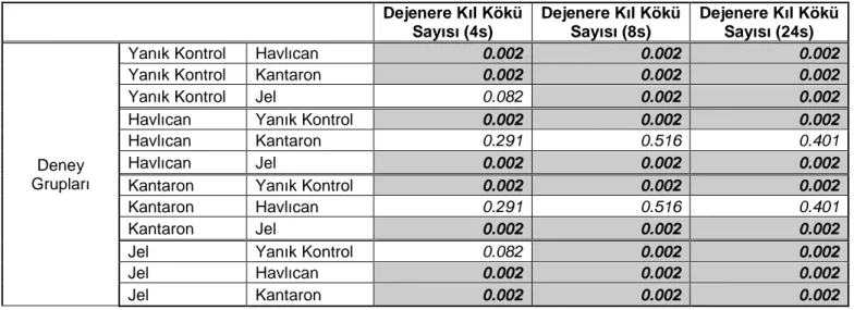 Tablo 24: Dejenere kıl kökü sayısının Mann-Whitney testi ile karşılaştırılması     Dejenere Kıl Kökü Sayısı (4s)  Dejenere Kıl Kökü Sayısı (8s)  Dejenere Kıl Kökü Sayısı (24s)  Deney  Grupları 