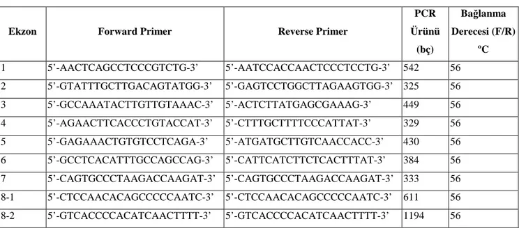 Tablo 12: IL12B PCR Primerleri 