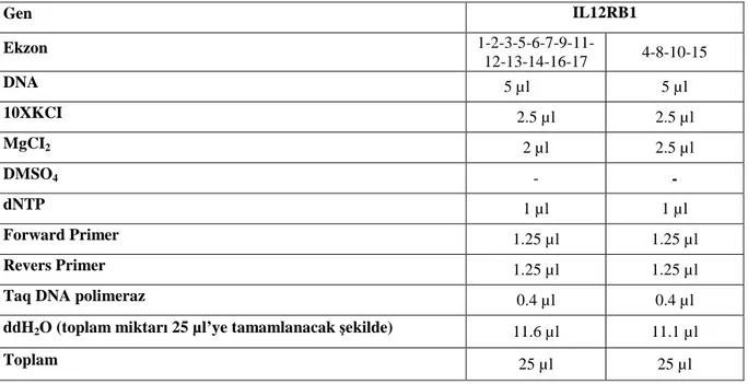 Tablo 17: IL12RB1 amplifikasyonu için PCR Miksi hazırlanışı 