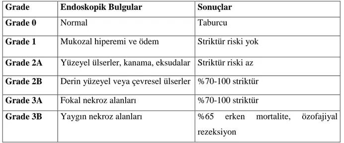 Tablo  2:  Koroziv  yanın  hasarını  derecelendirilmesi  için  endoskopik  skorlama  kriterleri  ve  prognoz (25)