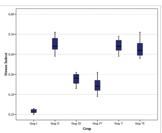 Tablo 10:  Özofagus stenoz indeksi değerlerinin gruplara göre karşılaştırması