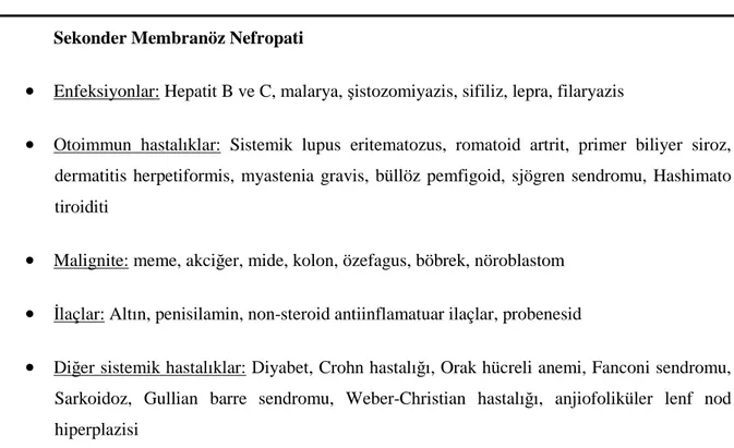 Tablo 3: Sekonder membranöz nefropati nedenleri 