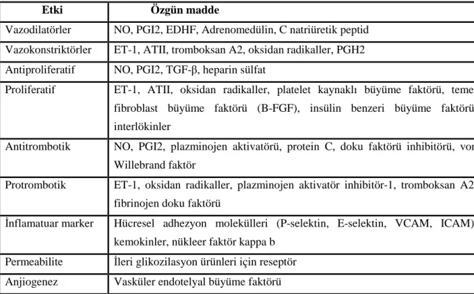 Tablo  5.:  Endotelden  salınan  otokrin  ve  parakrin  maddeler  [88]  NO:  Nitrik  oksit,   PGI2:  Prostosiklin,  EDHF:  Endotel  kaynaklı  hiperpolarizan  faktör,  ET-1:  Endotelin-1,   ATII: Anjiotensin II, PGH2: Prostoglandin H2, TGF-β: Transforming g