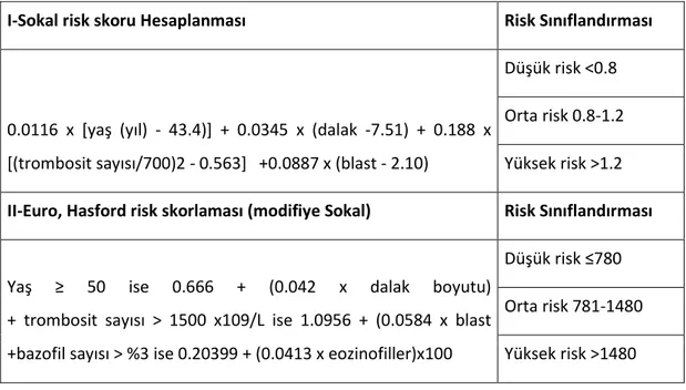 Tablo 3. KML Risk Skorlamaları  