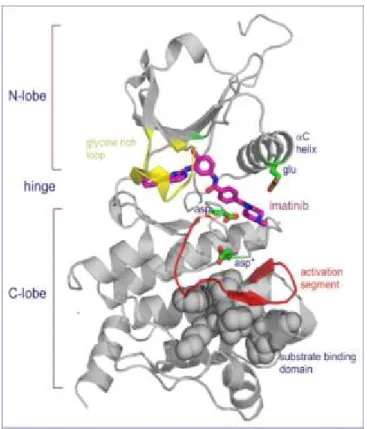 Şekil 3: imatinib mesilat 