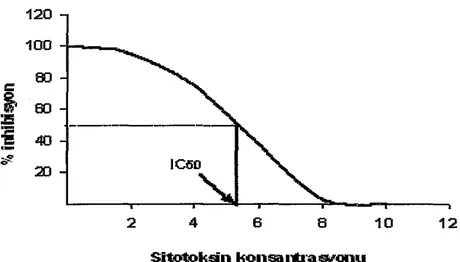 Şekil 8. IC 50  oranını gösteren grafik. 