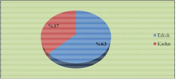 Şekil 7: Hastaların cinsiyete göre dağılımı 