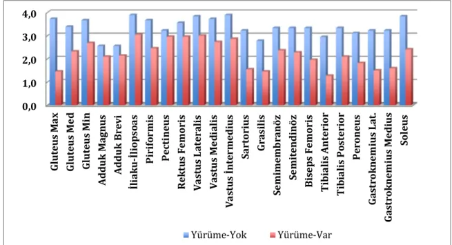 Grafik 8.  Yürüyebilen ve yürüyemiyen hastalarda kas MR ortalama skorları.0,01,02,03,04,0Gluteus MaxGluteus MedGluteus MinAdduk MagnusAdduk Breviİliaku-İliopsoasPiriformisPectineusRektus FemorisVastus LateralisVastus MedialisVastus İntermediusSartoriusGras