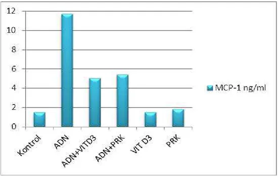 Grafik 5: MCP-1 değerlerinin gruplar arası karşılaştırması (protein ng: nanogram ml: mililitre)