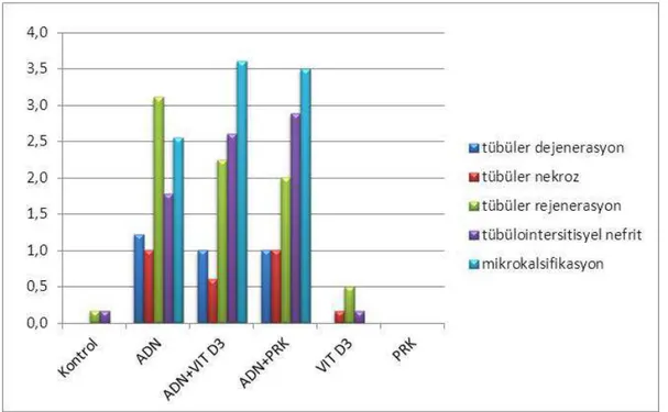 Grafik 6: Histopatolojik verilerin gruplar arası karşılaştırması 