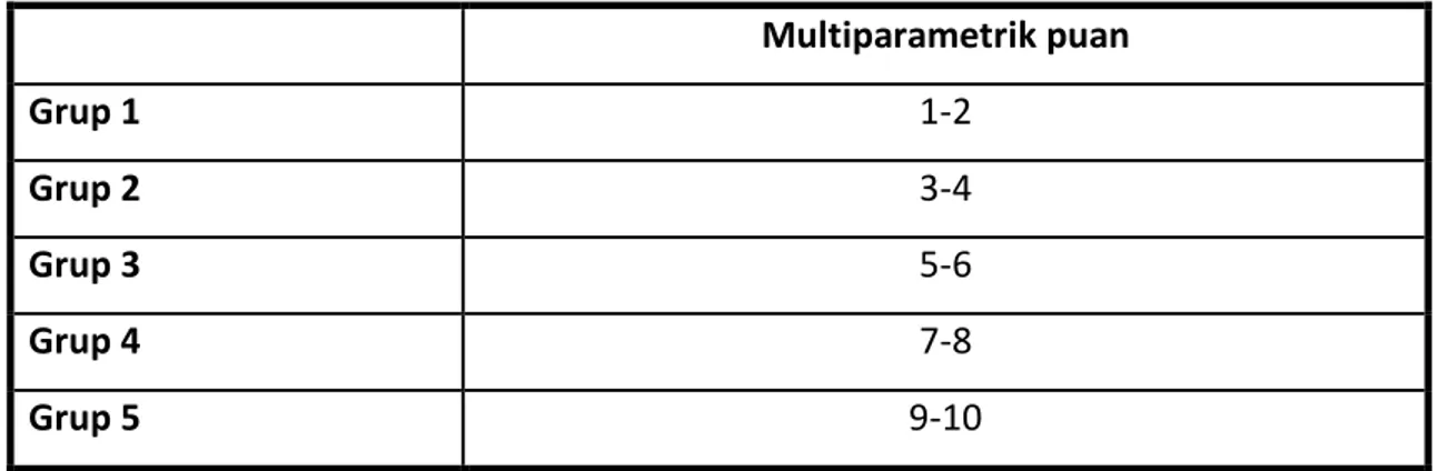 Tablo 7: Multiparametrik MRG’ye göre puanlama 