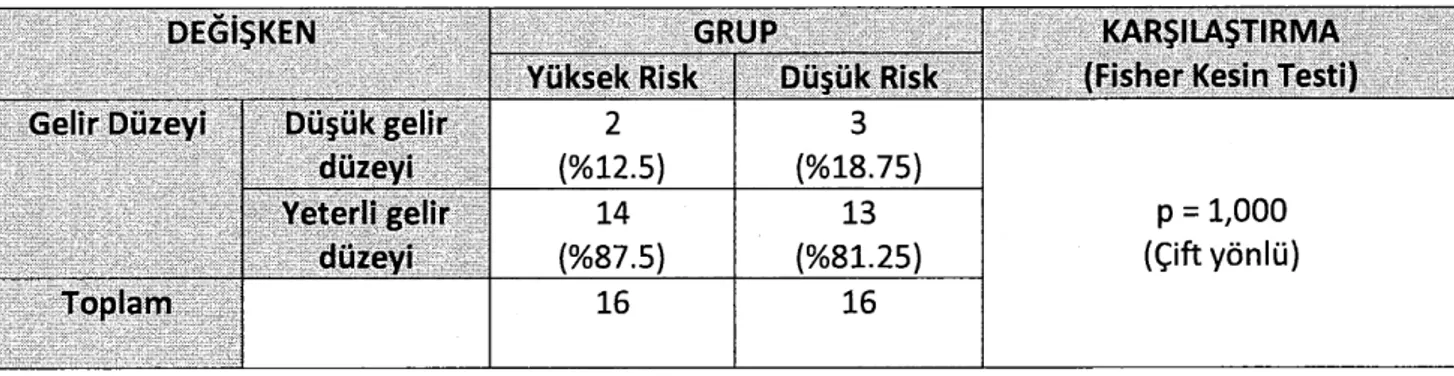 Table  3:  Yuksek risk grubu ve  du~uk  risk grubunun gelir duzeyi degi~keni a~1smdan kar~1la~t1nlmas1  (%12.5)  14  (%87.5  16  (%18.75) 13  p  =  1,000  (c;ift yonlu) 