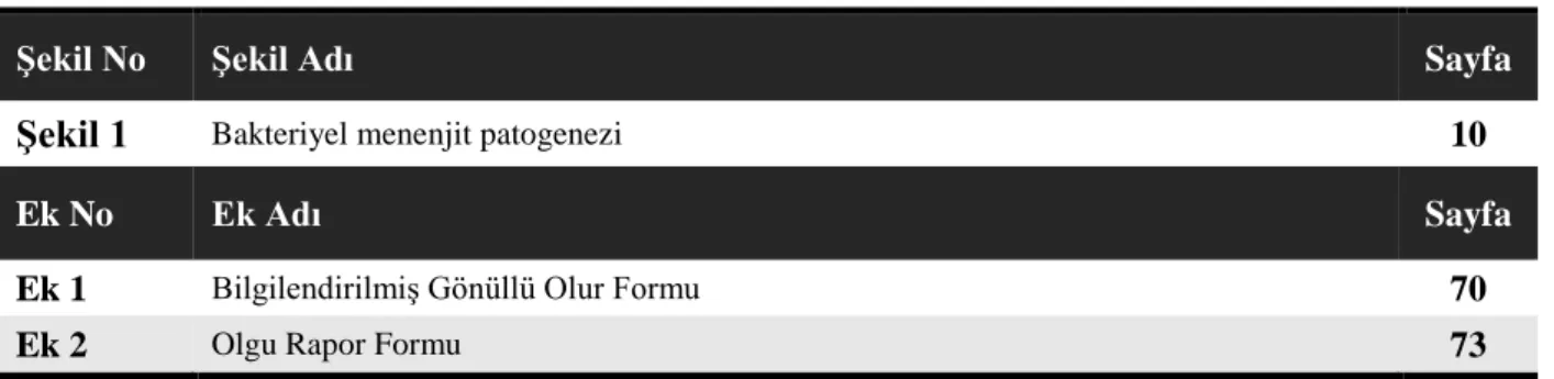 Şekil No  Şekil Adı  Sayfa 