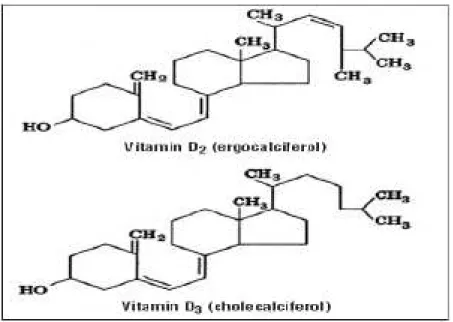 Şekil 5. Vitamin D2 ve D3’ün moleküler yapısı 