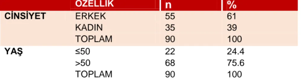 Tablo 8.  Demografik özellikler 