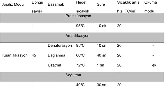 Tablo 2: ‘‘Real time’’ PZR testinde her bir örnek için kullanılan protokol 