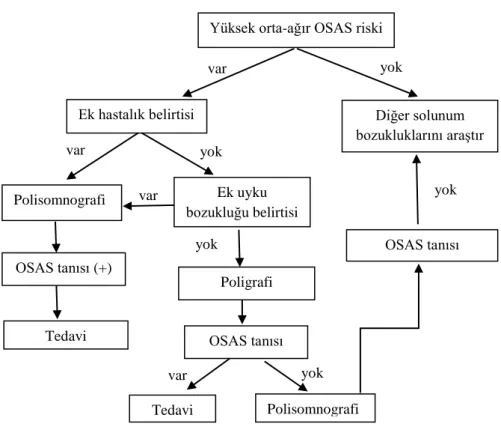 Şekil 7. OSAS için tanısal algoritma (54)  