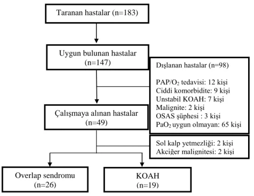 Şekil 8. Çalışmanın akış şeması 