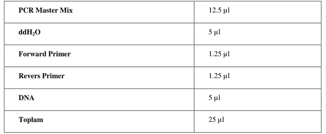 Tablo 6. Ampfilikasyon İçin PCR Koşulları 