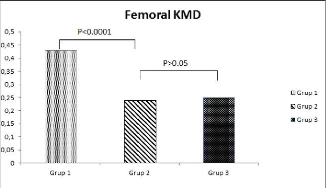 Şekil 4: Femoral KMD değerlerinin gruplara göre dağılımı 