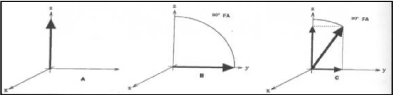 Şekil  10:    Flip  angle  uygulamasının  temel  prensibi  şematize  edilmiştir.  Longitudinal 
