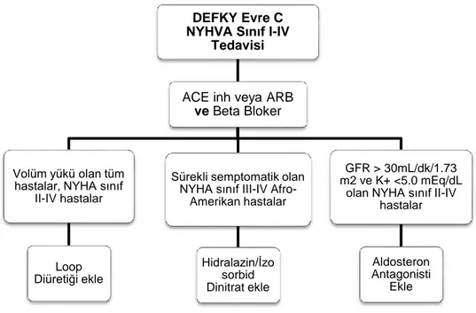 Şekil 1: Evre C düşük EF Kalp Yetmezliğinde Farmakolojik Tedavi Şeması 