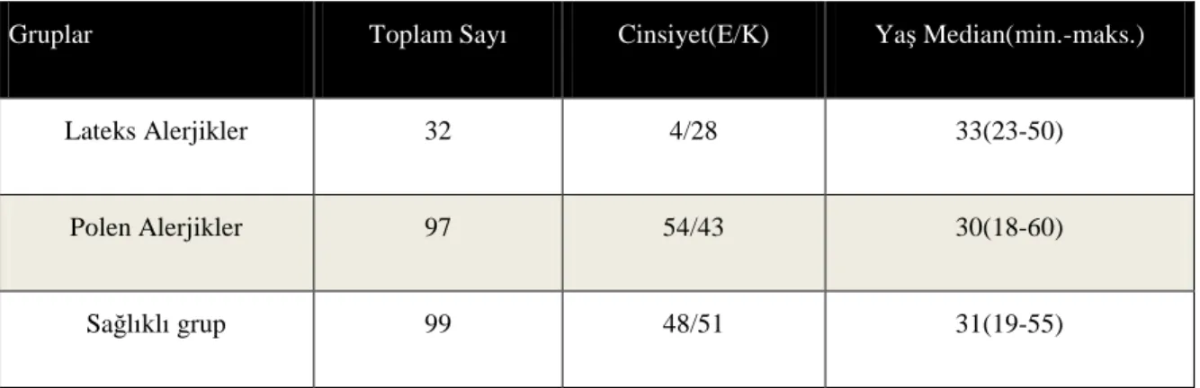 Tablo 8. Gönüllülerin Demografik Özellikleri 