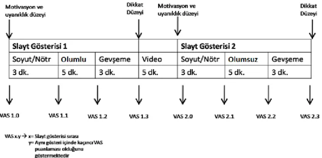 Şekil 2: Deney modeli 