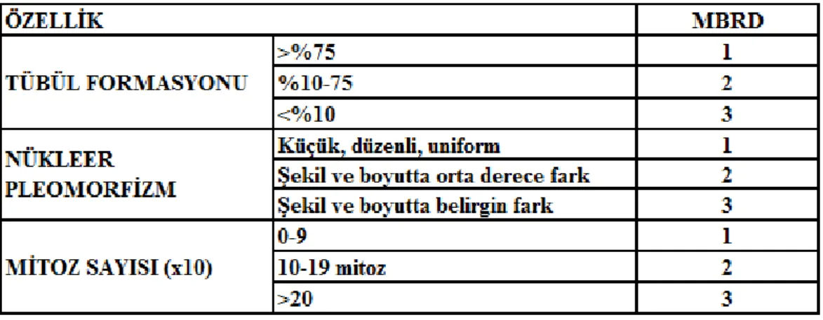 Tablo 2: Modifiye Bloom Richardson Derecesi (MBRD) 