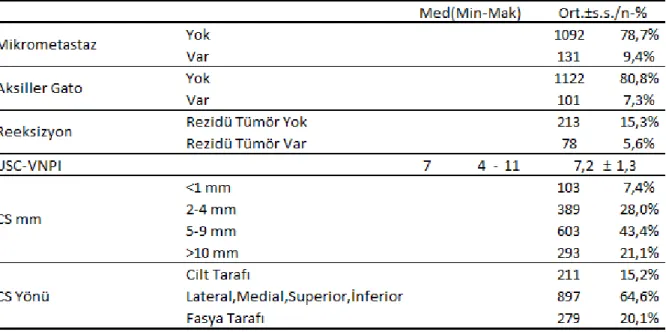 Tablo  15  :  Bulgular:  mikrometastaz,  aksiller  gato,  re-eksizyon,  USC-VNPI  skor,  cerrahi  sınır-  mm-yön 