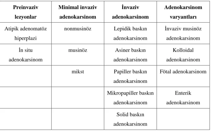 Tablo  2.  Uluslararası Akciğer  Kanseri Çalışma  Derneği (IASLC),  Amerikan  Toraks  Derneği (ATS)  ve  Avrupa  Solunum Derneği (ERS)-  Rezeke  edilen  spesmenlerde  akciğer  adenokarsinom sınıflaması  Preinvaziv  lezyonlar  Minimal invaziv adenokarsinom 