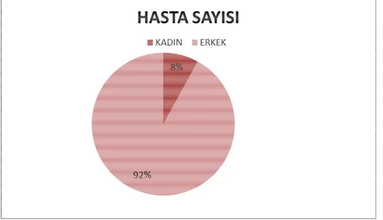 Grafik 1. Cinsiyete göre hasta sayıları 