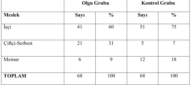 Tablo 6. Olgu ve Kontrol Grubundaki Babaların Meslek Grupları 