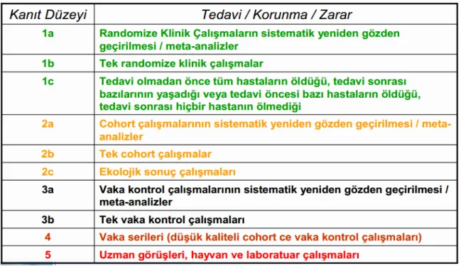 Tablo 6. Bilimsel çalışmalarda kanıt düzeyleri  