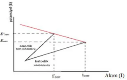 Şekil 1.4. Anodik inhibitörün Tafel eğimine etkisi  1.1.3.6. Katodik Korozyon İnhibitörleri 