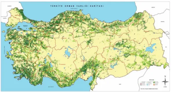 Şekil 2.6. Türkiye orman varlığı (URL-5, 2019) 