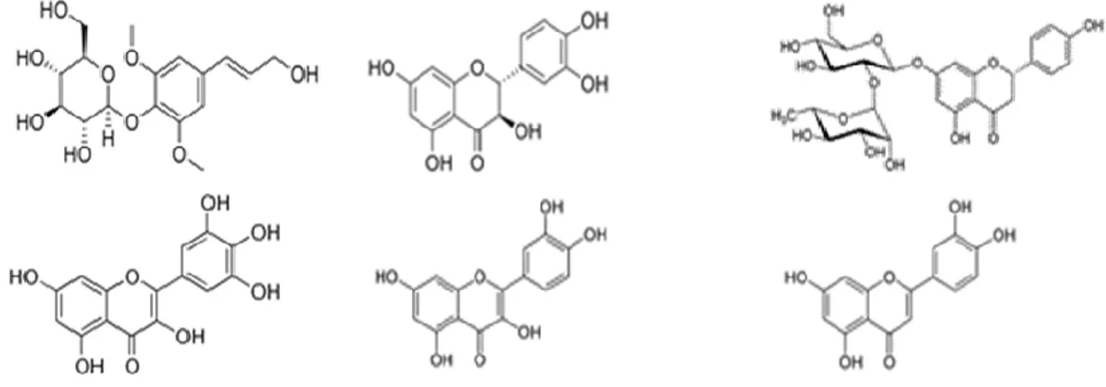 Şekil  2.13.  Bazı  flanovoidlerin  kimyasal  yapısı;  Sırası  ile  Eleutheroside,  Taksifolin,       Naringin, Mirisetin, Kuersetin, Luteolin 