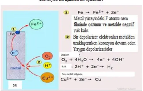 Şekil 1.2. Korozyon basamakları 