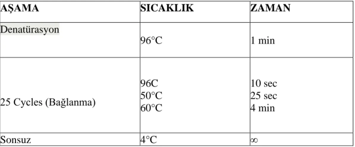 Tablo 3.15. PZR döngüsü 