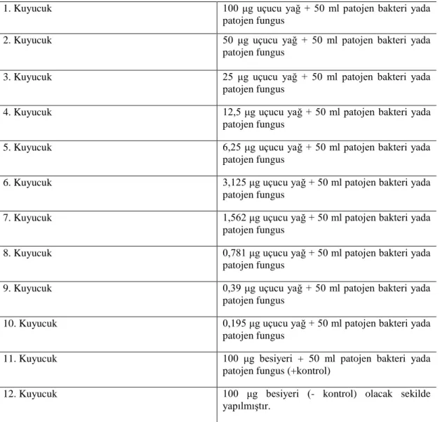 Tablo 3.4. MİK testi kuyucuk analizi 